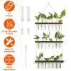 3-Tier Wall Hanging Planter Glass Hydroponic Vase Plant Flower Propagation Tube Planter Terrarium with Wooden Stand