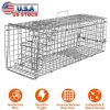 Humane Cat Trap Cage Catch Release Live Animal Rodent Cage Collapsible Galvanized Wire for Small Raccoons Beavers Groundhogs Foxes Armadillos