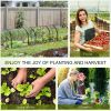 Outsunny 11' x 3' x 2.5' Mini Greenhouse, Portable Tunnel Green House with Roll-Up Zippered Doors, UV Waterproof Cover, Steel Frame, Clear