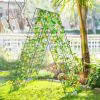 2 Pieces Foldable A-Frame Trellis Plant Supports with Twist Ties - Green