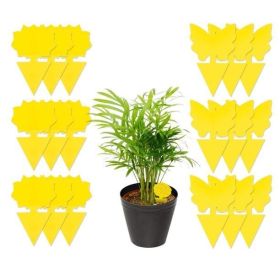 18/48 Pack Sticky Fruit Fly Trap and Fungus Gnat Traps Killer for Indoor and Outdoor, Protect The Plant, Non-Toxic and Odorless (Option: Quantity18)